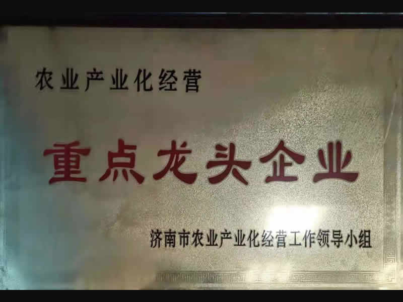 龙头企业