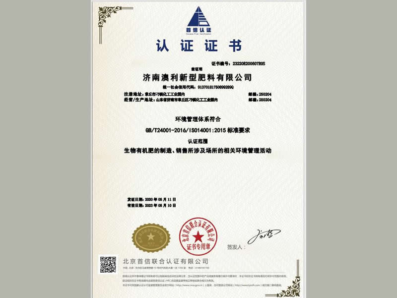 中文环境